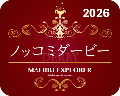 ノッコミダービー