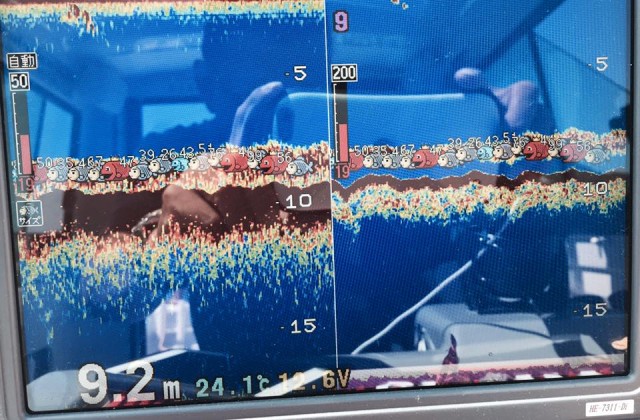 12003036_1048559988489596_3856860401673254023_n